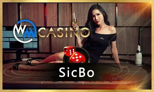 777plus Casino Gaming Platform Overview